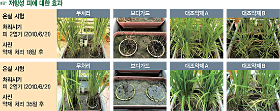 저항성 피에 대한 효과